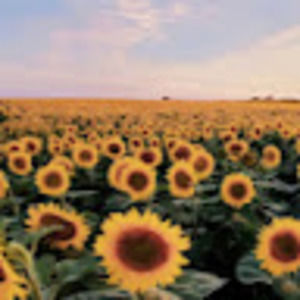 Meet your Posher, Mia